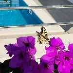 Amaris - With Sea View & Heated Swimming Pool At Ciovo * Traù