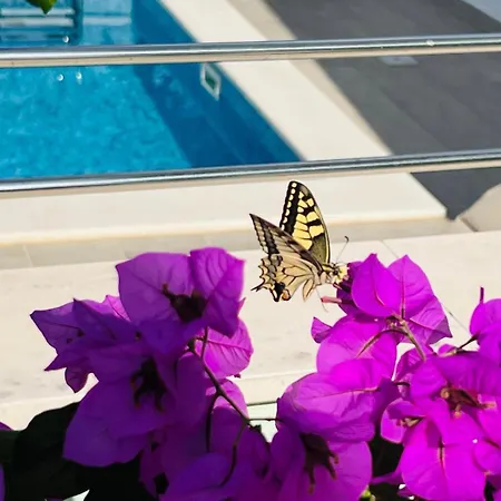 Amaris - With Sea View & Heated Swimming Pool At Ciovo * Трогір