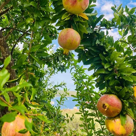 Appartement Amaris - With Sea View & Heated Swimming Pool At Ciovo *