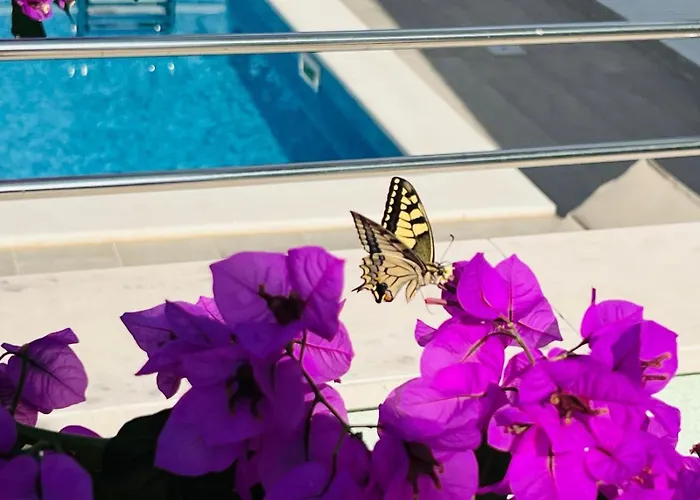 Amaris - With Sea View & Heated Swimming Pool At Ciovo * Trogir