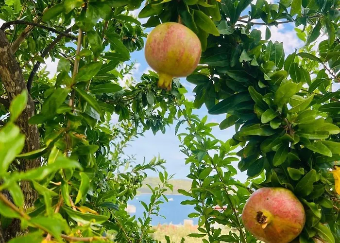 Apartment Amaris - With Sea View & Heated Swimming Pool At Ciovo *